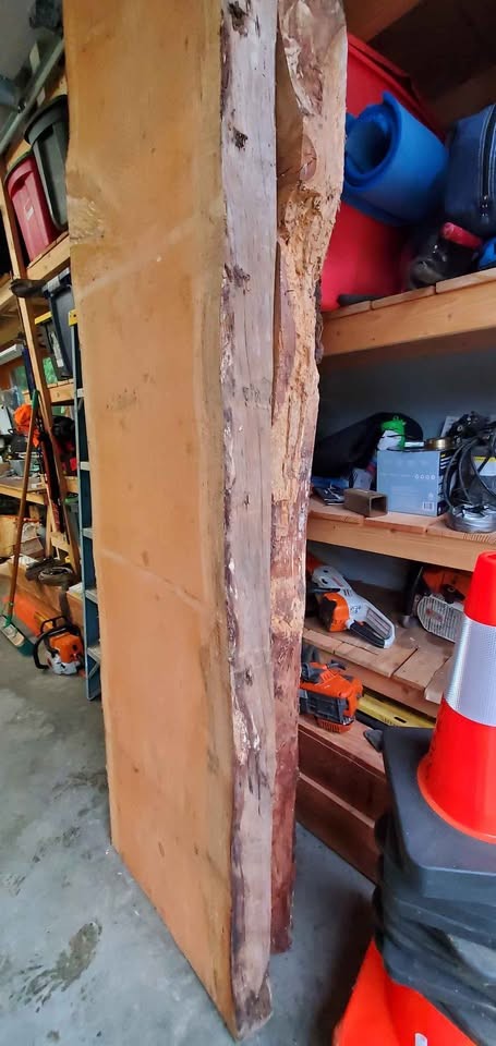 Doug fir live edge slab, kiln dried - Image 6