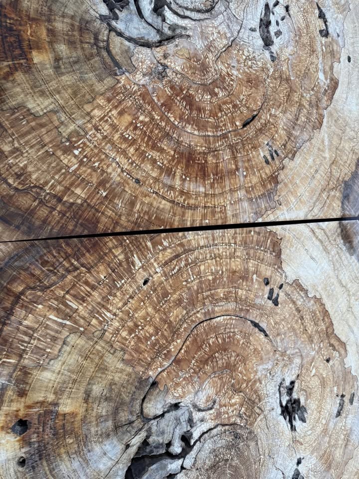 Large White Oak Burls Wood Burl Slabs Book matched and Rare - Image 9