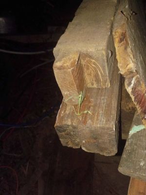 Beautiful reclaimed lumber