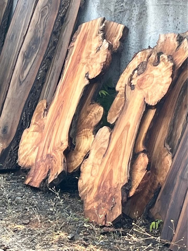Live edge wood slabs - Image 2