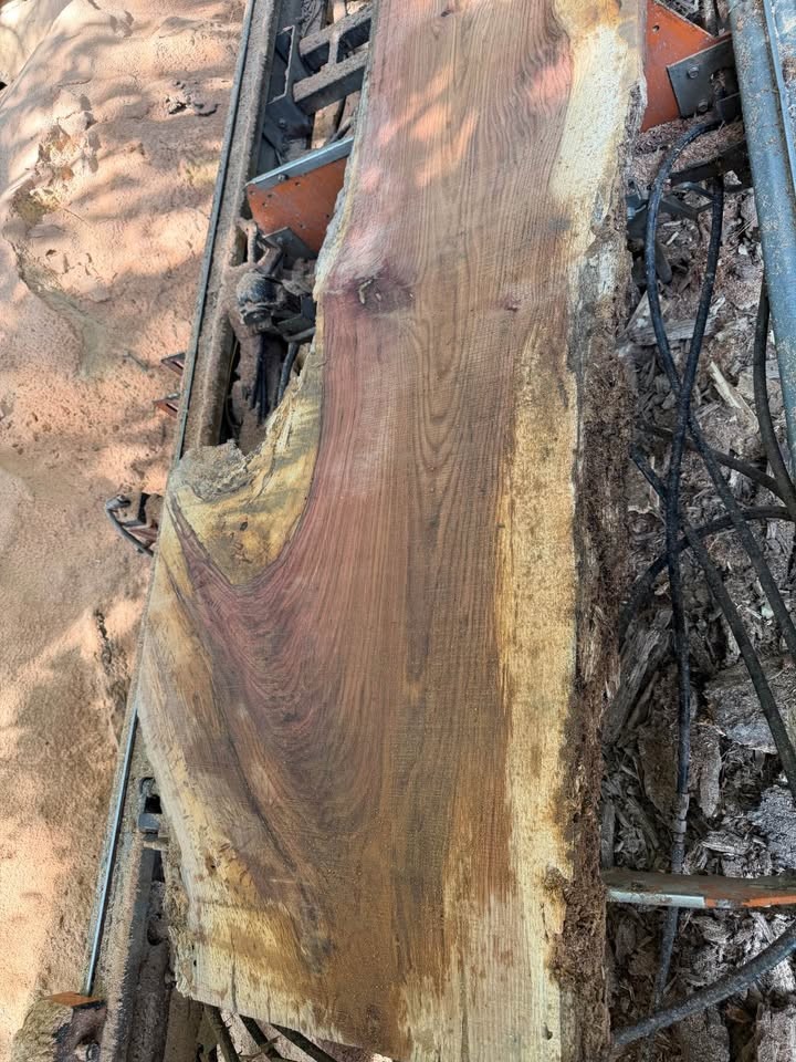 2” live edge slabs - Image 5