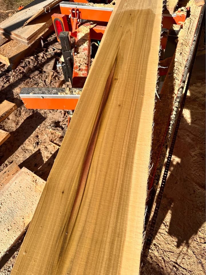 Poplar 1x12x8 lumber - Image 1