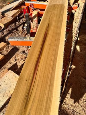 Poplar 1x12x8 lumber