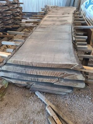 Giant Walnut Slabs