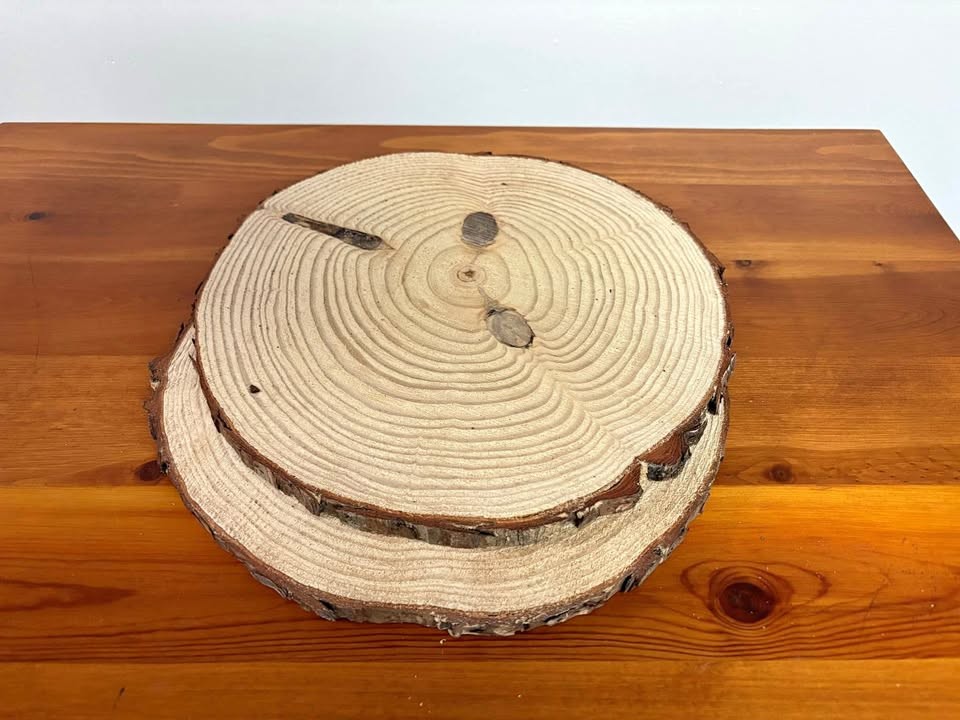 Pine Wood Slices - Image 1