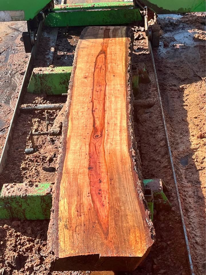 Brock Sawmilling - Image 1