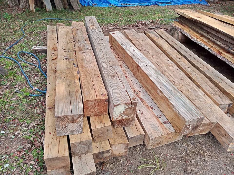 Yellow and white pine - Image 1