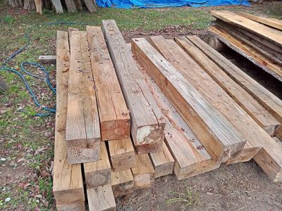 Yellow and white pine