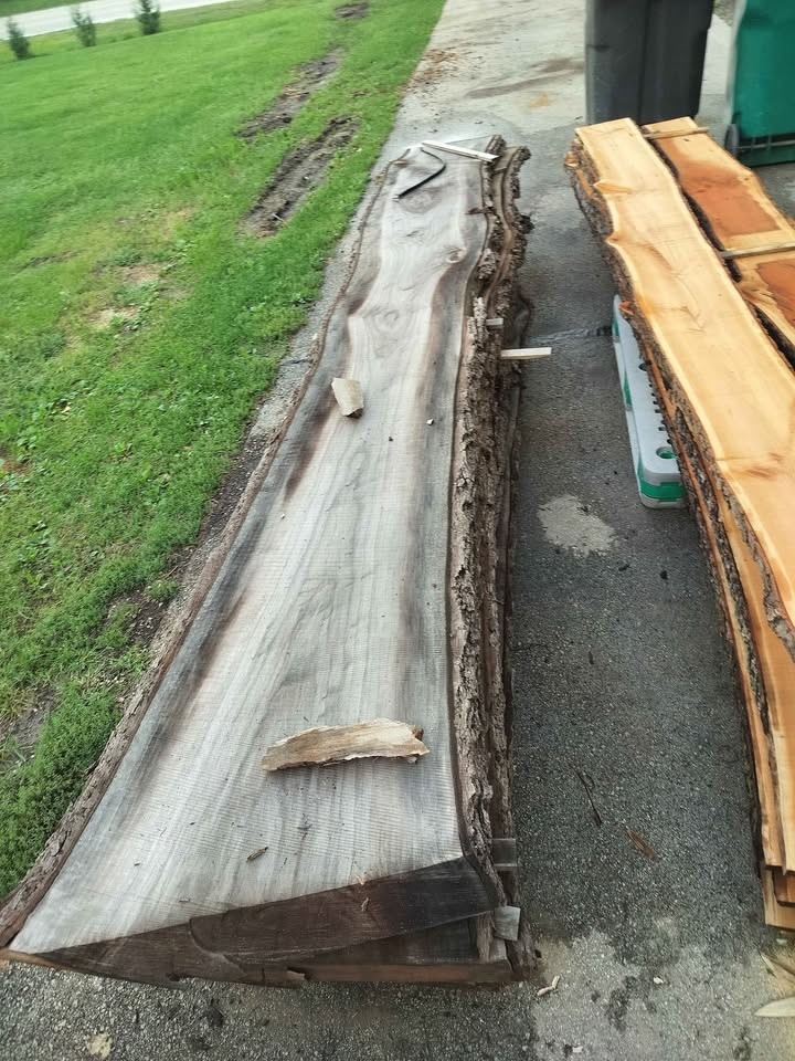 Live edge slabs - Image 3