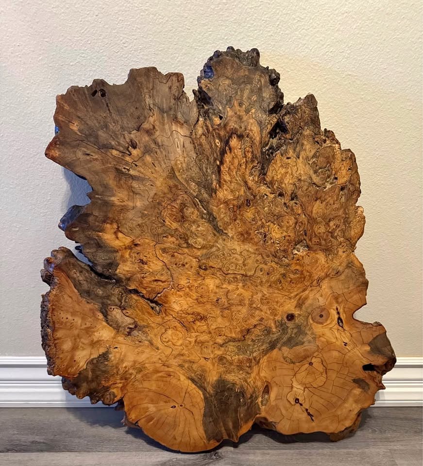 Live Edge Burl Wood Slab 30” L x  26” W x 2” Thick - Image 1