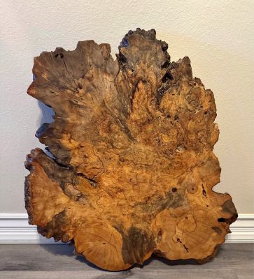 Live Edge Burl Wood Slab 30” L x  26” W x 2” Thick