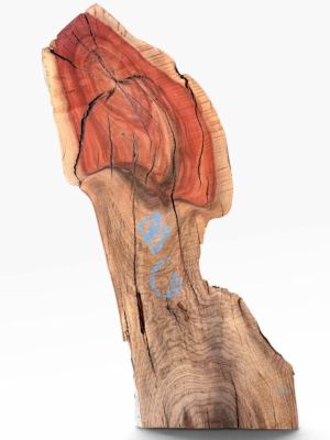 ???? Sculptural Pistachio Slab Live Edge, Wild Red Heartwood ????