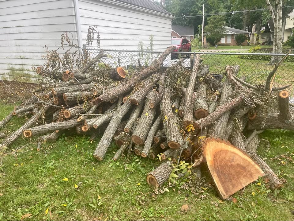 Walnut wood for sale - Image 1