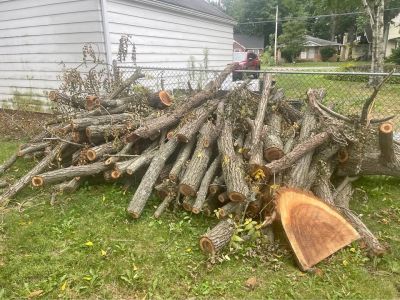 Walnut wood for sale