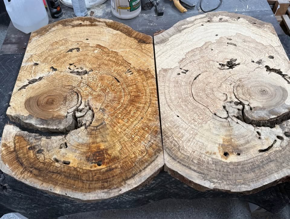 Large White Oak Burls Wood Burl Slabs Book matched and Rare - Image 7