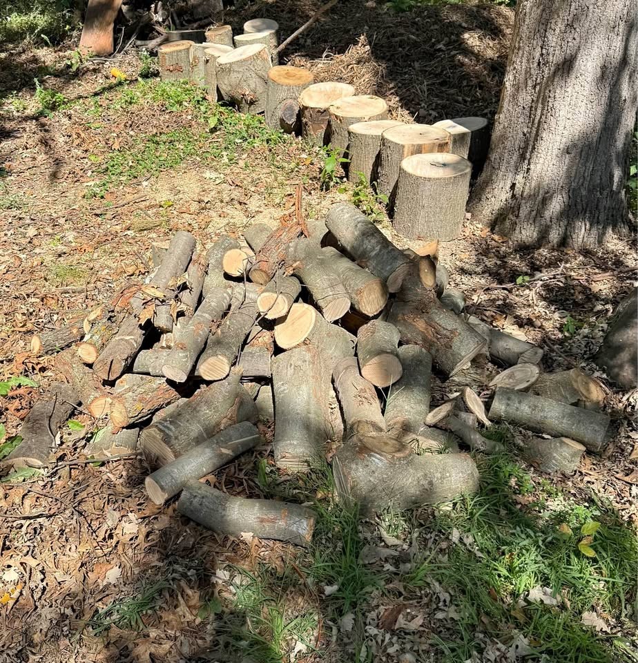 Wood (make offer) all hardwood - Image 1