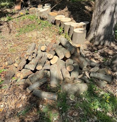 Wood (make offer) all hardwood