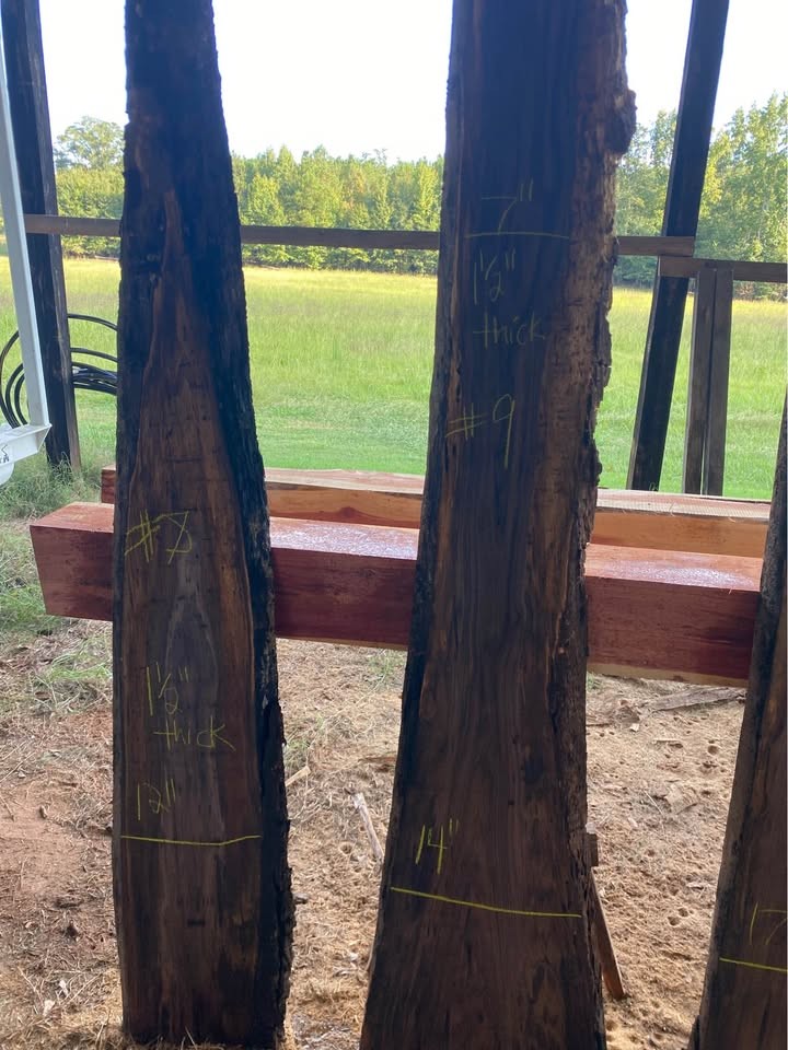 Black Walnut Live Edge Slabs - Image 4