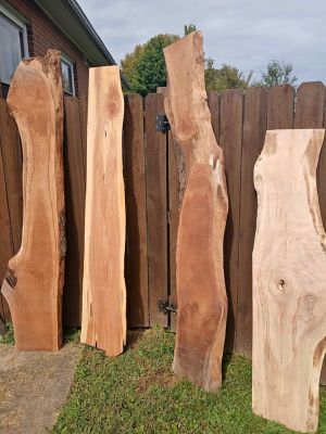 Live Edge Wood Slabs