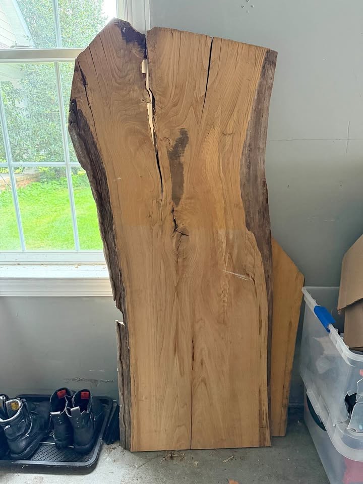 Live Edge Elm Wood Slab - Image 1