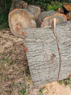 Slab wood