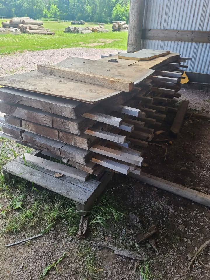 Giant Walnut Slabs - Image 6