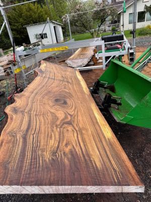 Black Walnut Live Edge Slabs