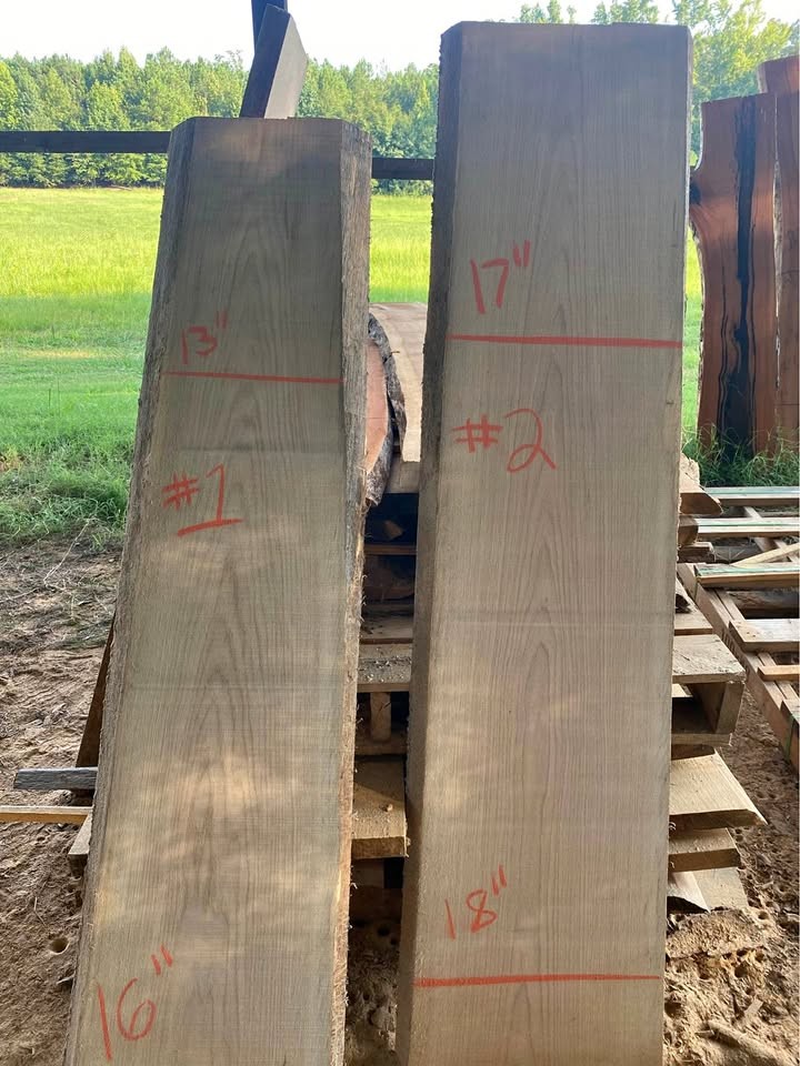 Live edge white oak slabs - Image 1
