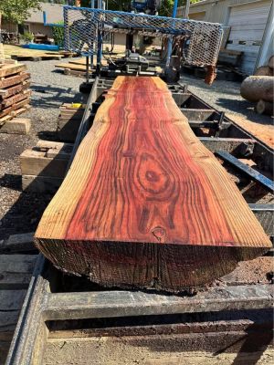 End of Season Wood Slab Sale
