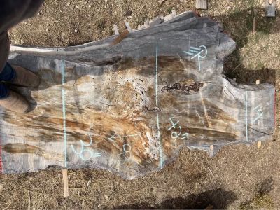 The Hardwood Wood Slabs