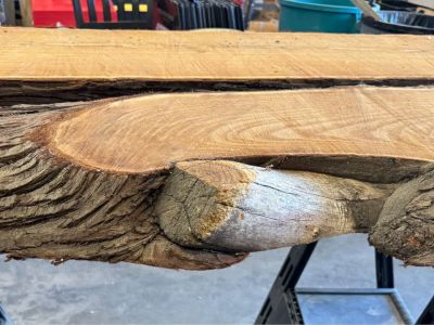 Live Edge Wood Slabs-3