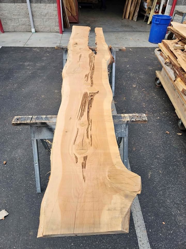 Kiln Dried 11.5ft Juniper Slab - 3x20x11.5ft Cool Epoxy Project Wood - Image 1
