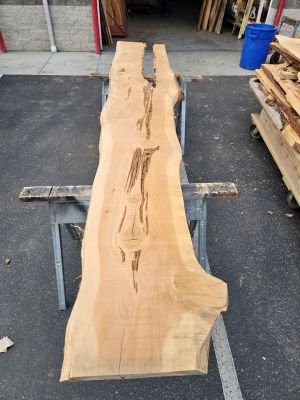 Kiln Dried 11.5ft Juniper Slab - 3x20x11.5ft Cool Epoxy Project Wood