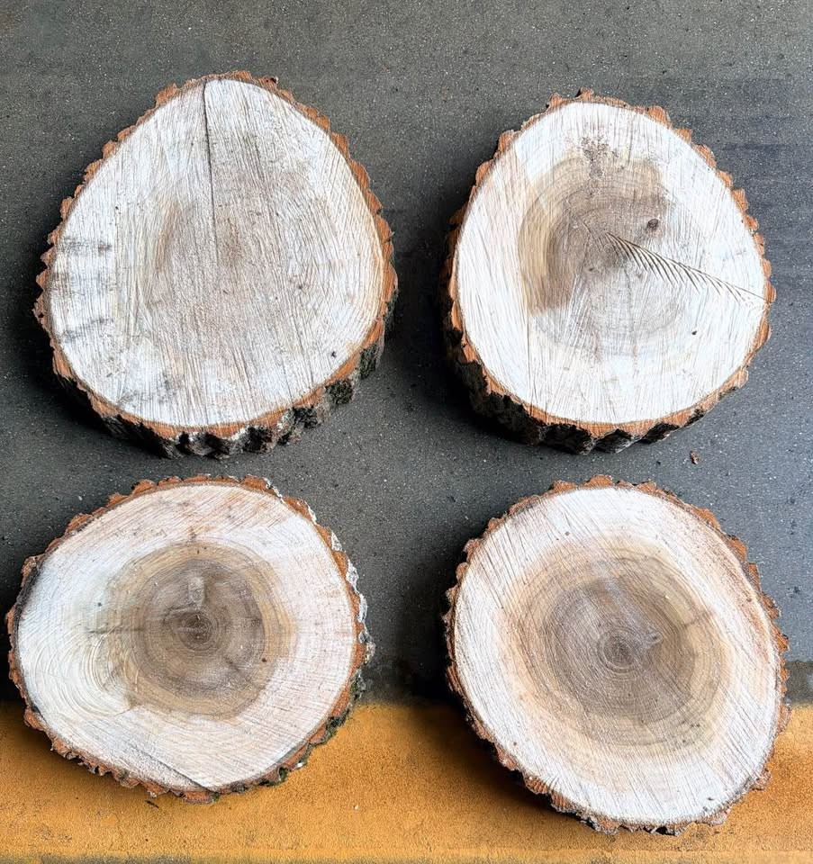 Wood slabs (REAL) - Image 8
