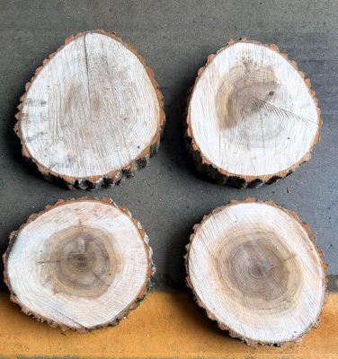 Wood slabs (REAL)