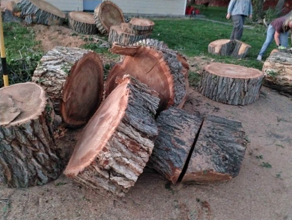 Siberian elm slabs - Image 1