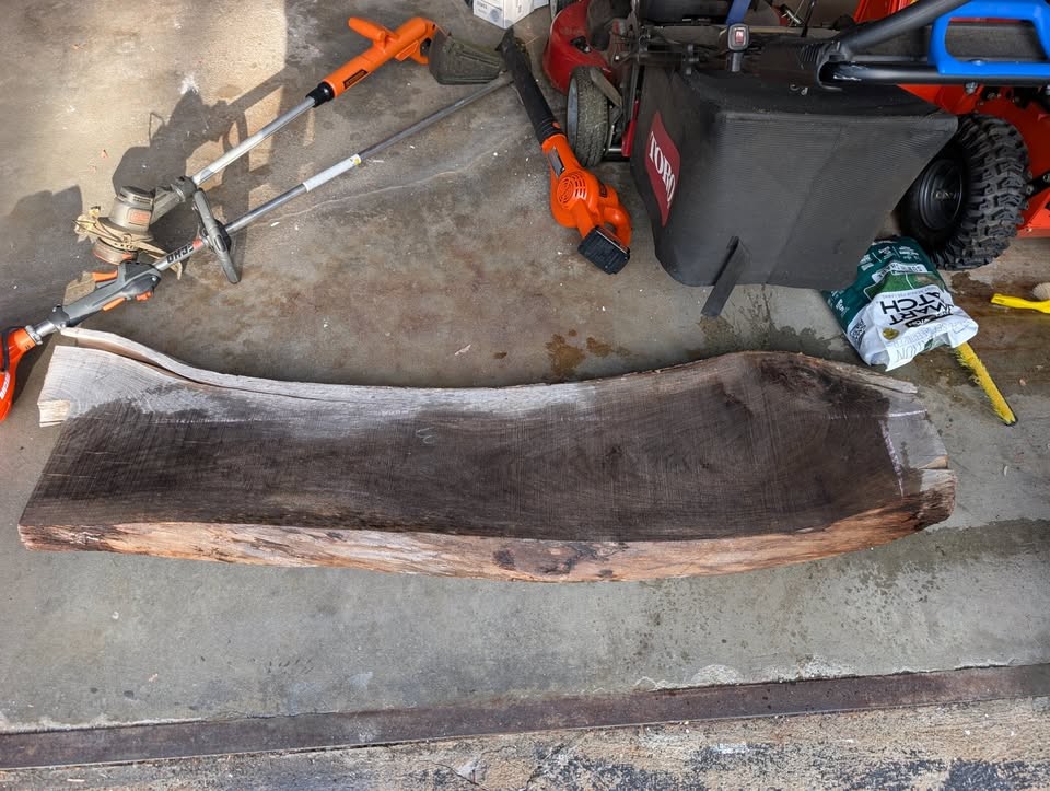 Live Edge Black Walnut Slab - Image 2