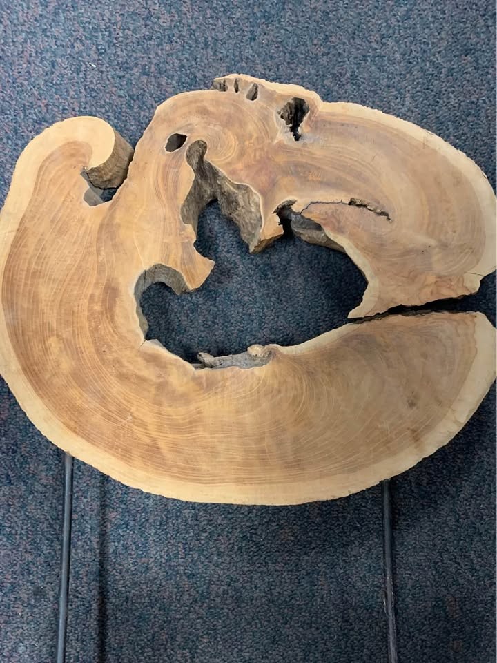 Hollow Hard Wood Slab Art With Live Edge Displayed On A Wood Log Base - Image 5
