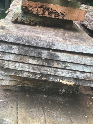 Live edge slabs
