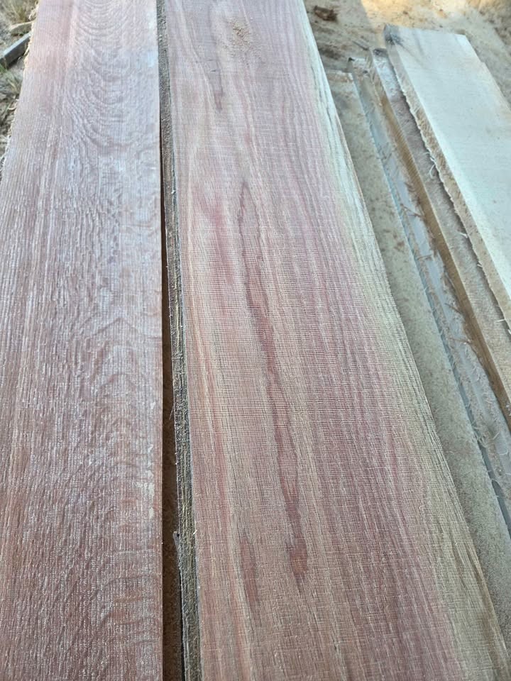 Red oak - Image 5