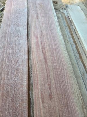 Red oak