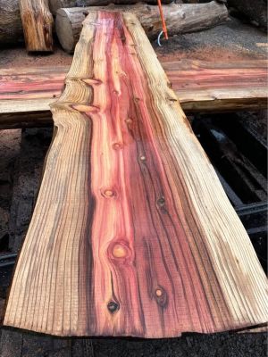End of Season Wood Slab Sale