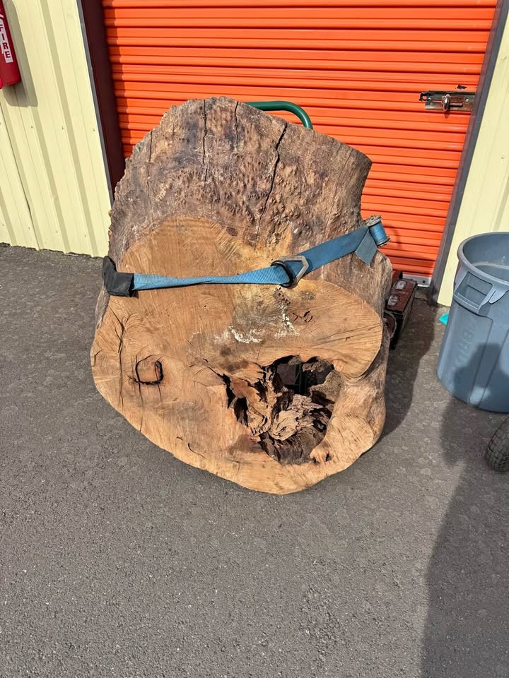 Cookie wood slab - Image 1
