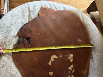 Live edge table top