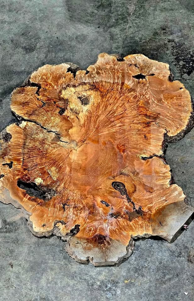 Wood slabs , Vacuum Kiln dried and surfaced flat , 800 fully dried slabs - Image 1