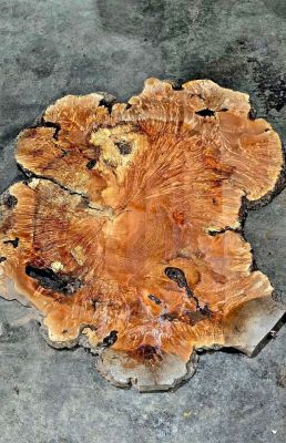 Wood slabs , Vacuum Kiln dried and surfaced flat , 800 fully dried slabs