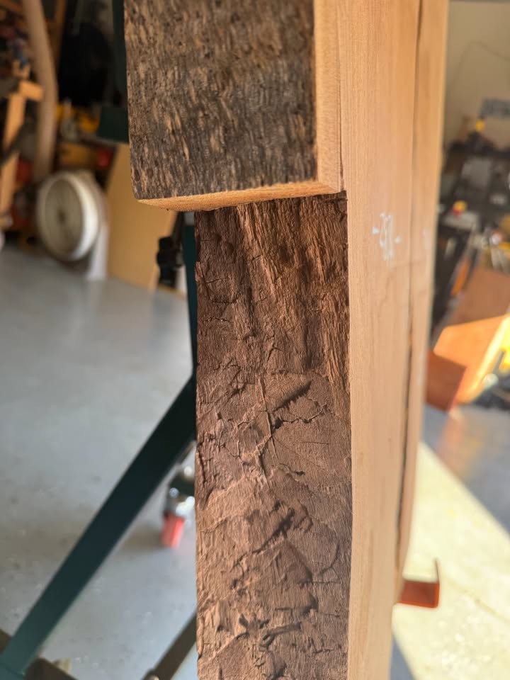 Live Edge Black Walnut Slab - Hit By Lightning - 2 1/2" thick x 46 1/2" long - Image 9
