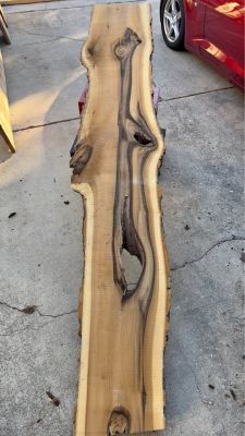 Live Edge Slabs