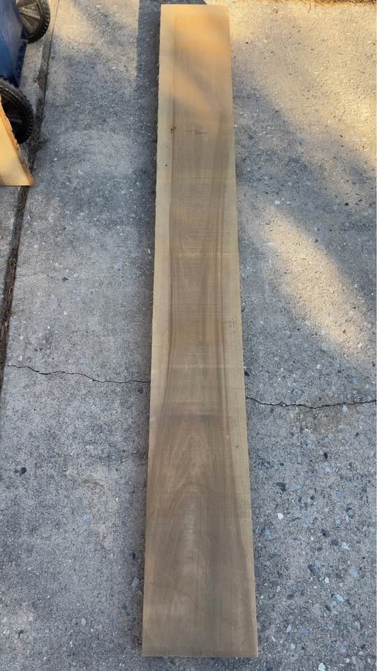 Live Edge Slabs - Image 6