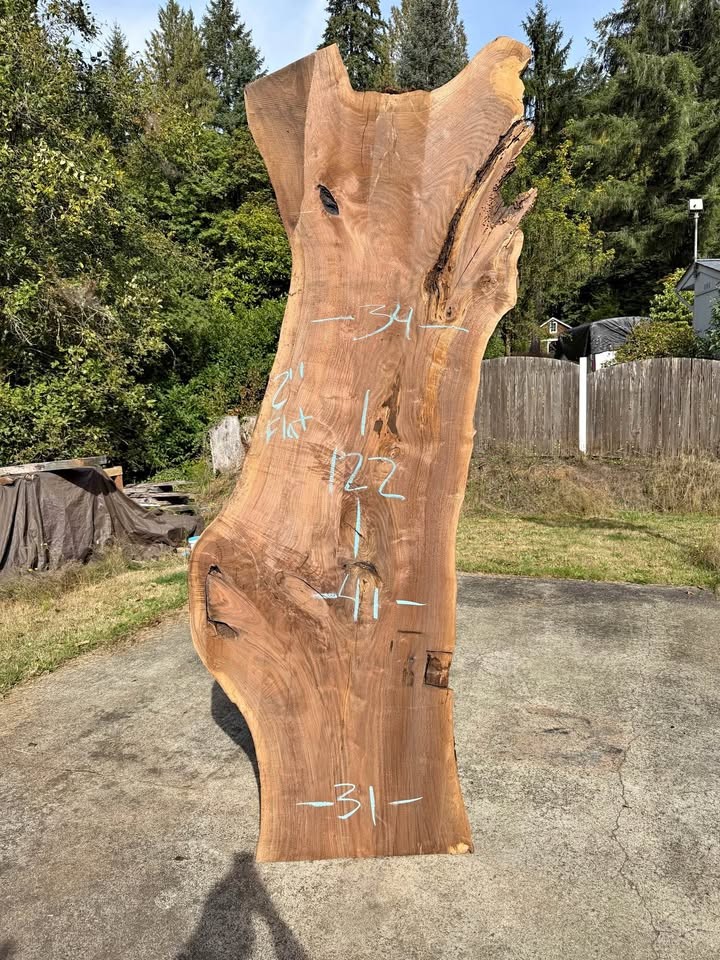 Oregon Black Walnut Slab - Image 1